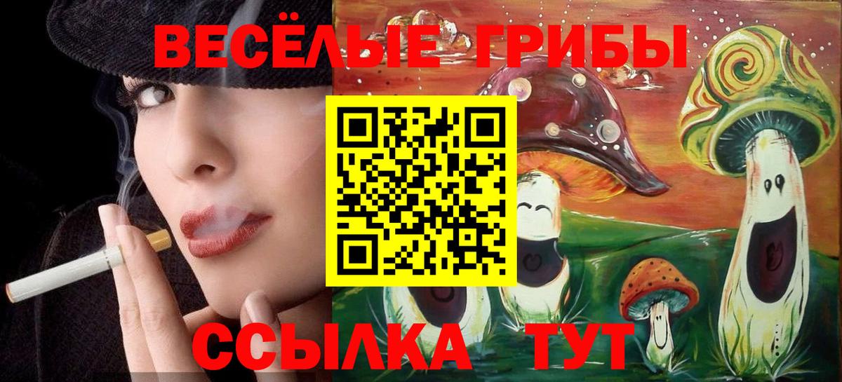 Воскресенск  Псилоцибиновые грибы GOLDEN TEACHER  Вход с VPN 